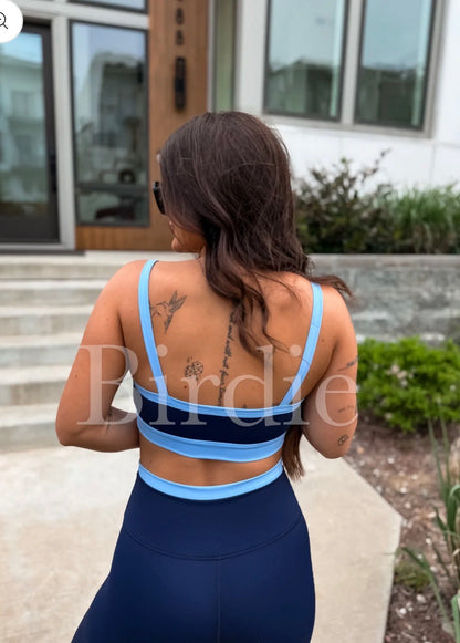 PowerSplit Sports Bra In Blueberry