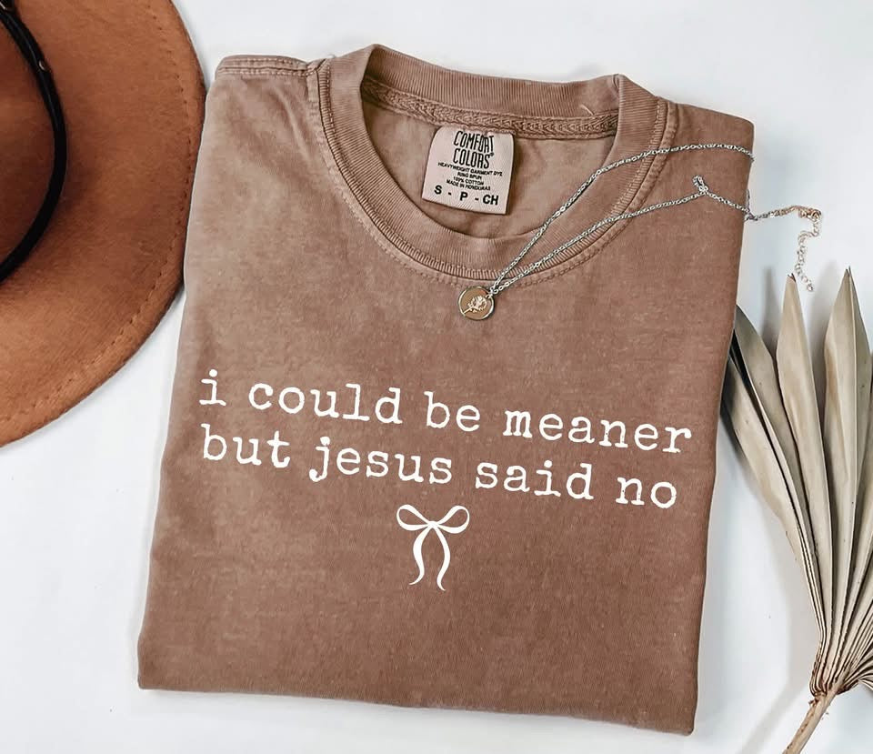 I Could Be Meaner Tee